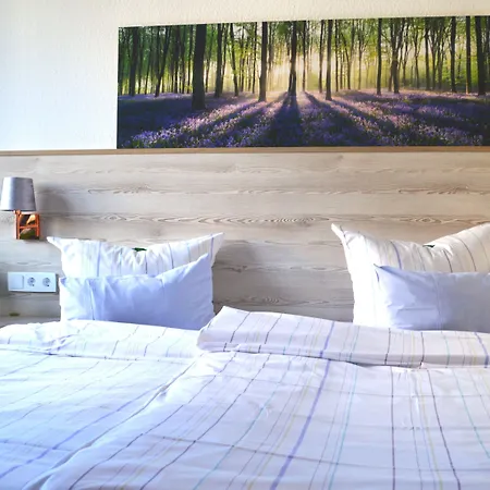 Bayrischer Hof Χαϊδελβέργη